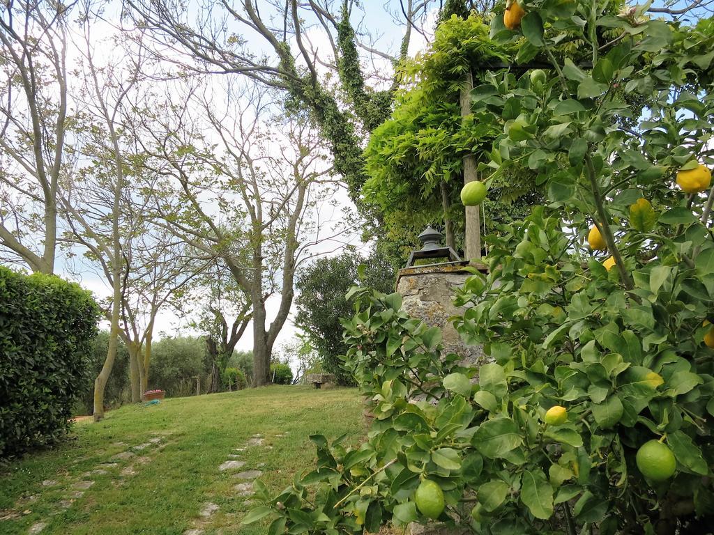 Residenza Santa Maria In Borraccia Bed & Breakfast Magliano in Toscana Exterior photo